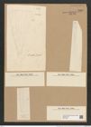 Licmophora flabellata (Carm.) Ag. (de-Toni-Nr.: Genus 86, Species 2953) Zeichnungen Sammlung Grunow Nr. 5966 (NHMW-BOT-W0374442)
